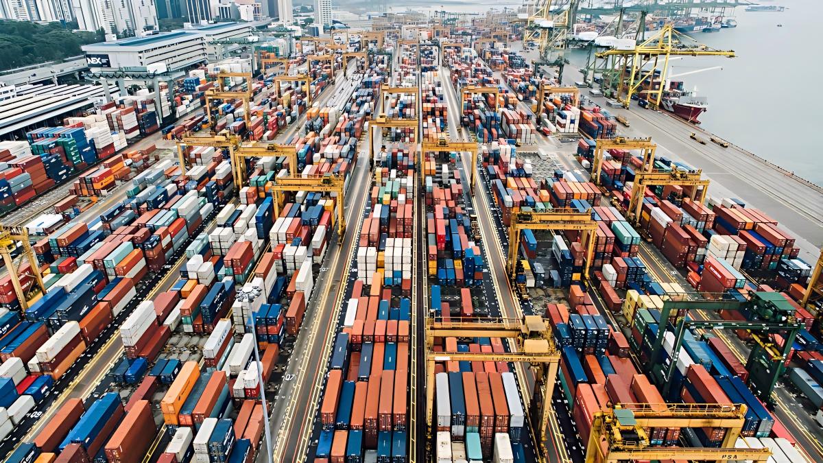 2026 Global Demand Analysis-Why Sourcing Parent Rolls from China is Increasing-1