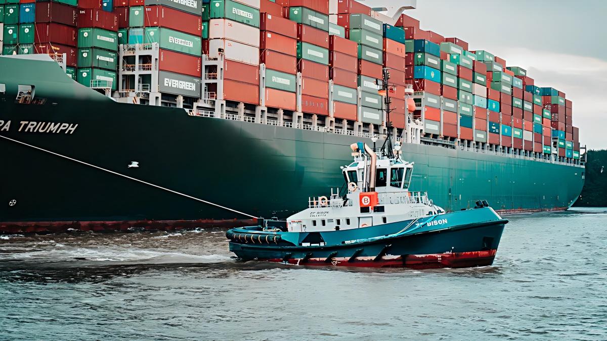 2026 Global Demand Analysis-Why Sourcing Parent Rolls from China is Increasing-2